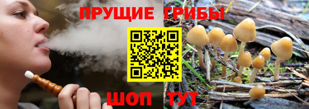 Ипатово  Галлюциногенные грибы Psilocybine cubensis  закладка  Галлюциногенные грибы Cubensis  Вход с VPN 